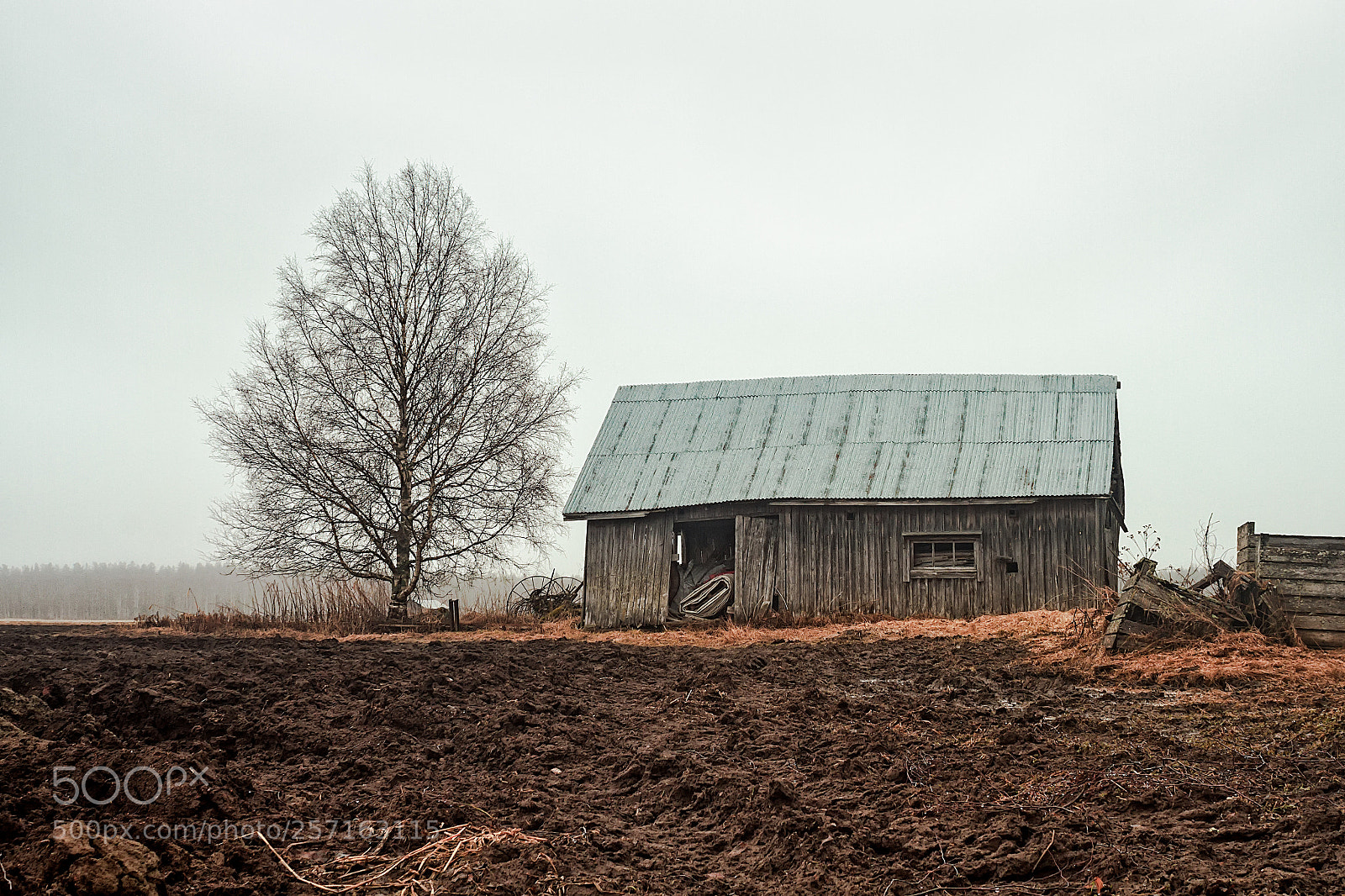 Canon EOS 7D sample photo. Birch tree and barn photography