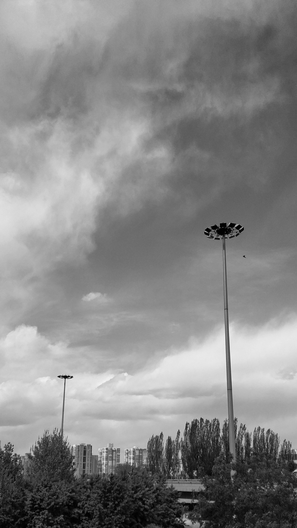 Xiaomi MI6 sample photo. Composition practice photography