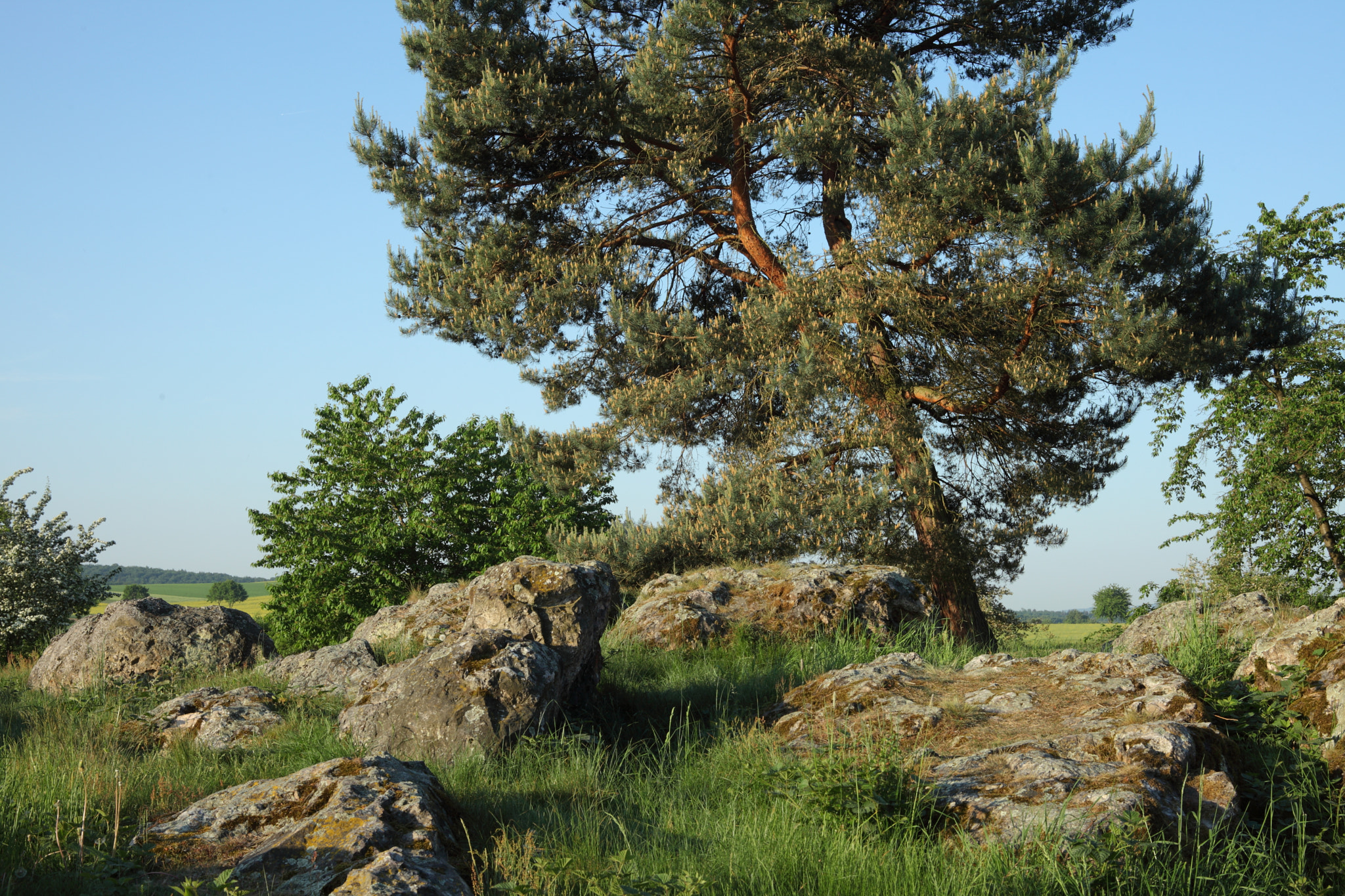 Canon EOS 5D Mark II + Canon EF 28-80mm f/3.5-5.6 sample photo. Early morning photography