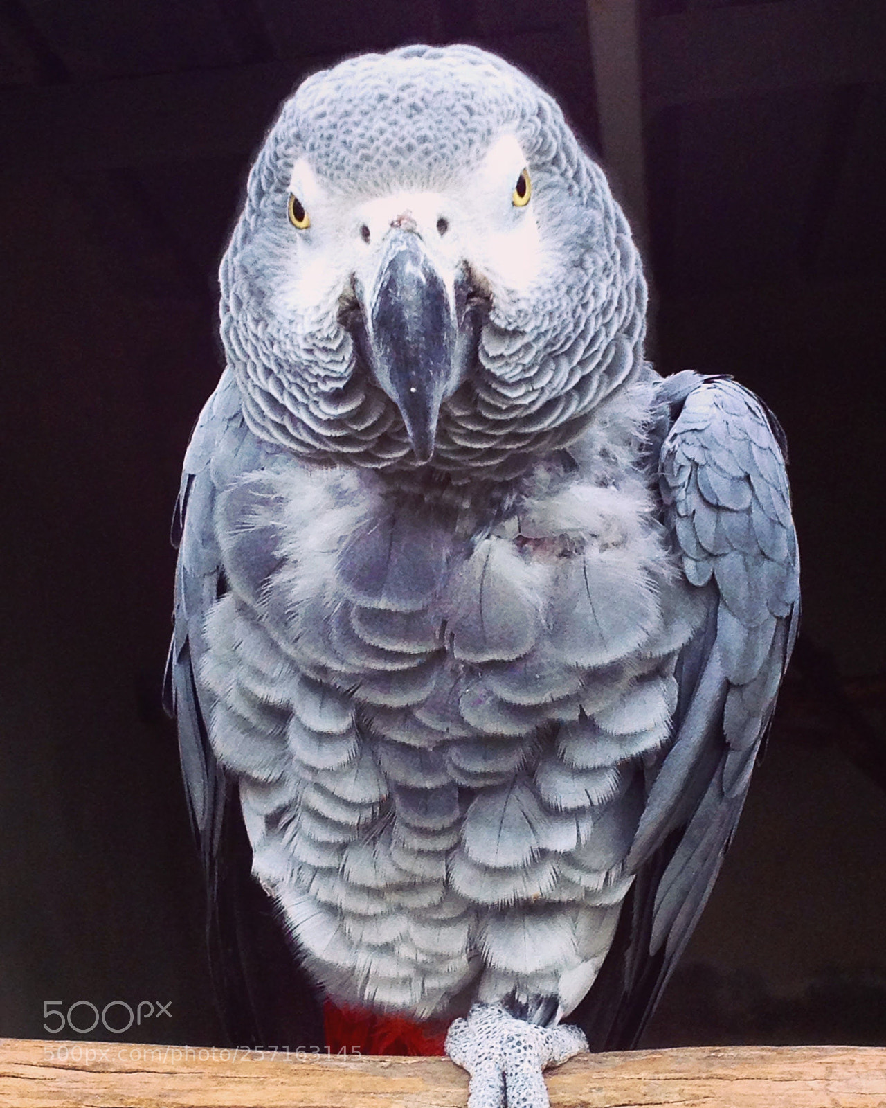 Apple iPhone 4S sample photo. Img photography