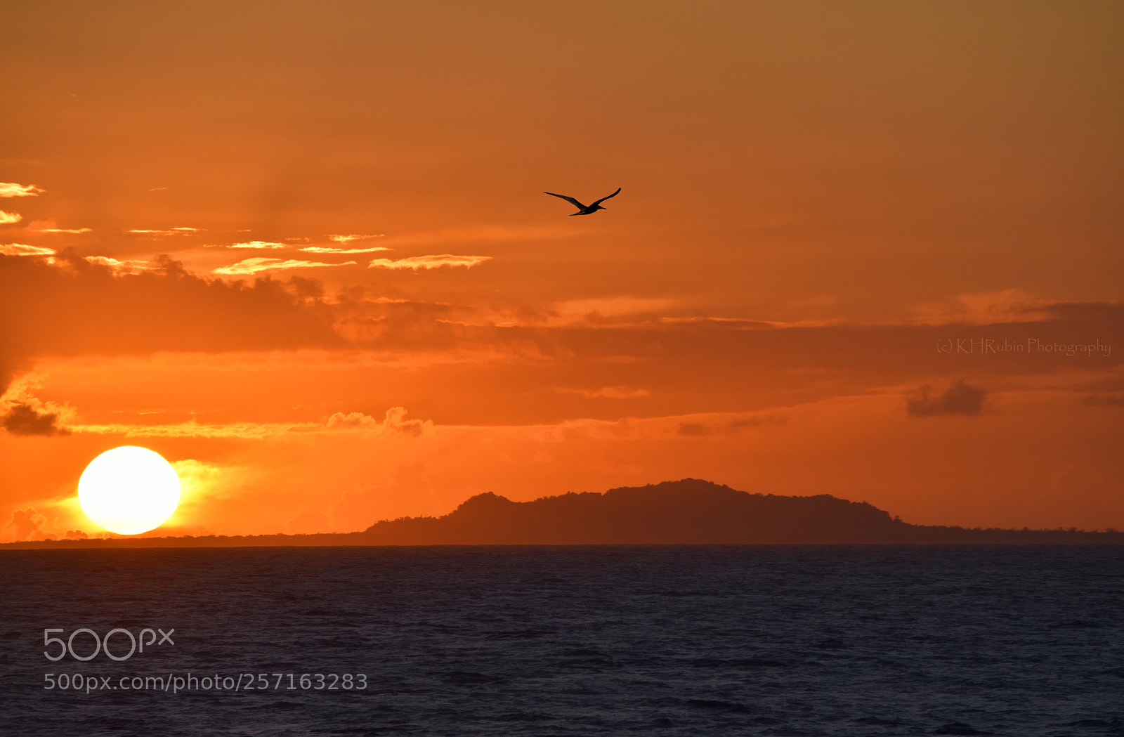 Nikon D5500 sample photo. Samoa evening photography