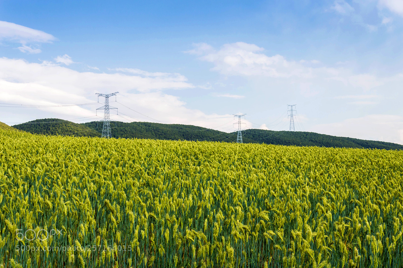 Nikon D3200 sample photo. Untitled photography