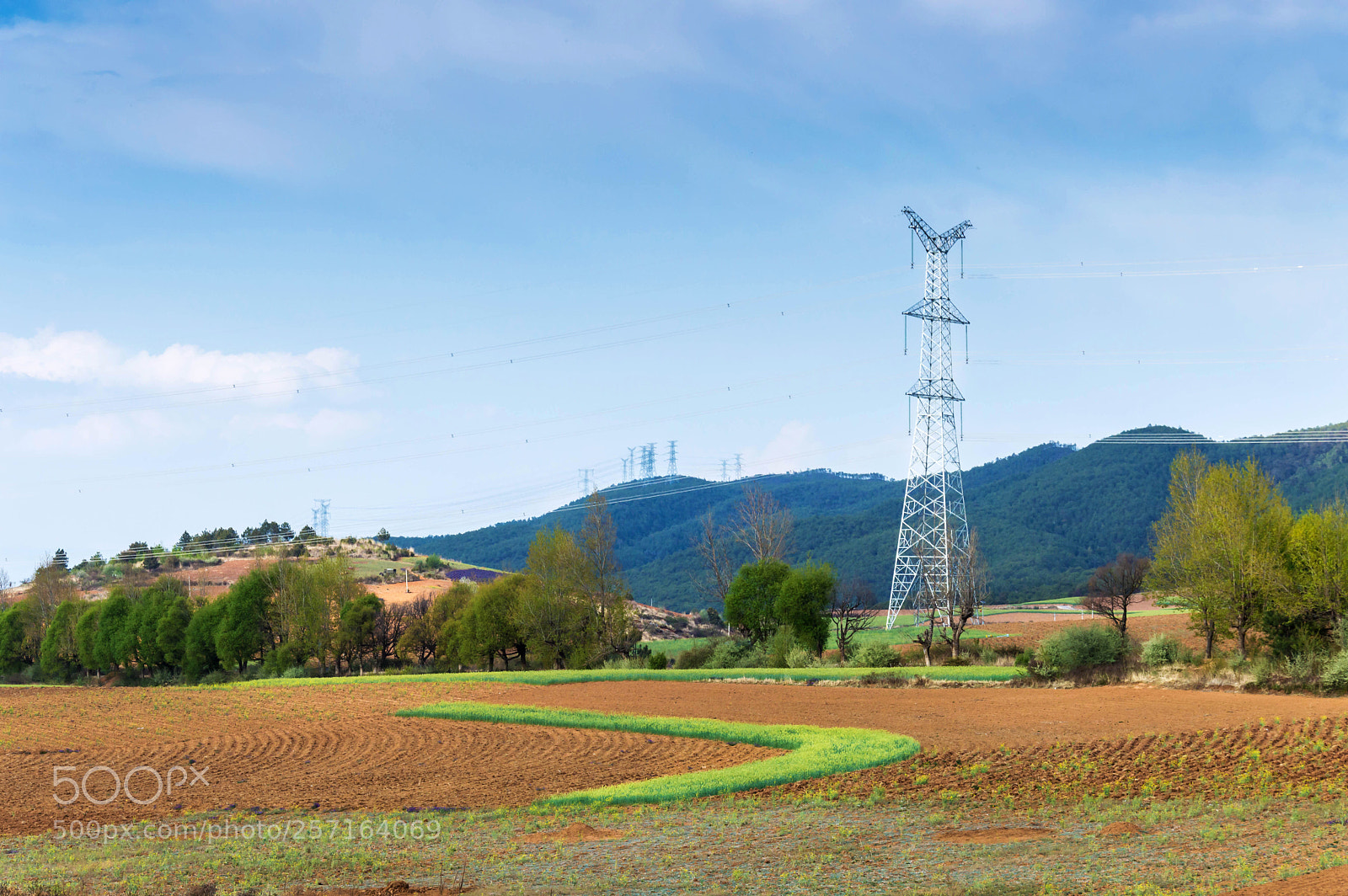 Nikon D3200 sample photo. Untitled photography