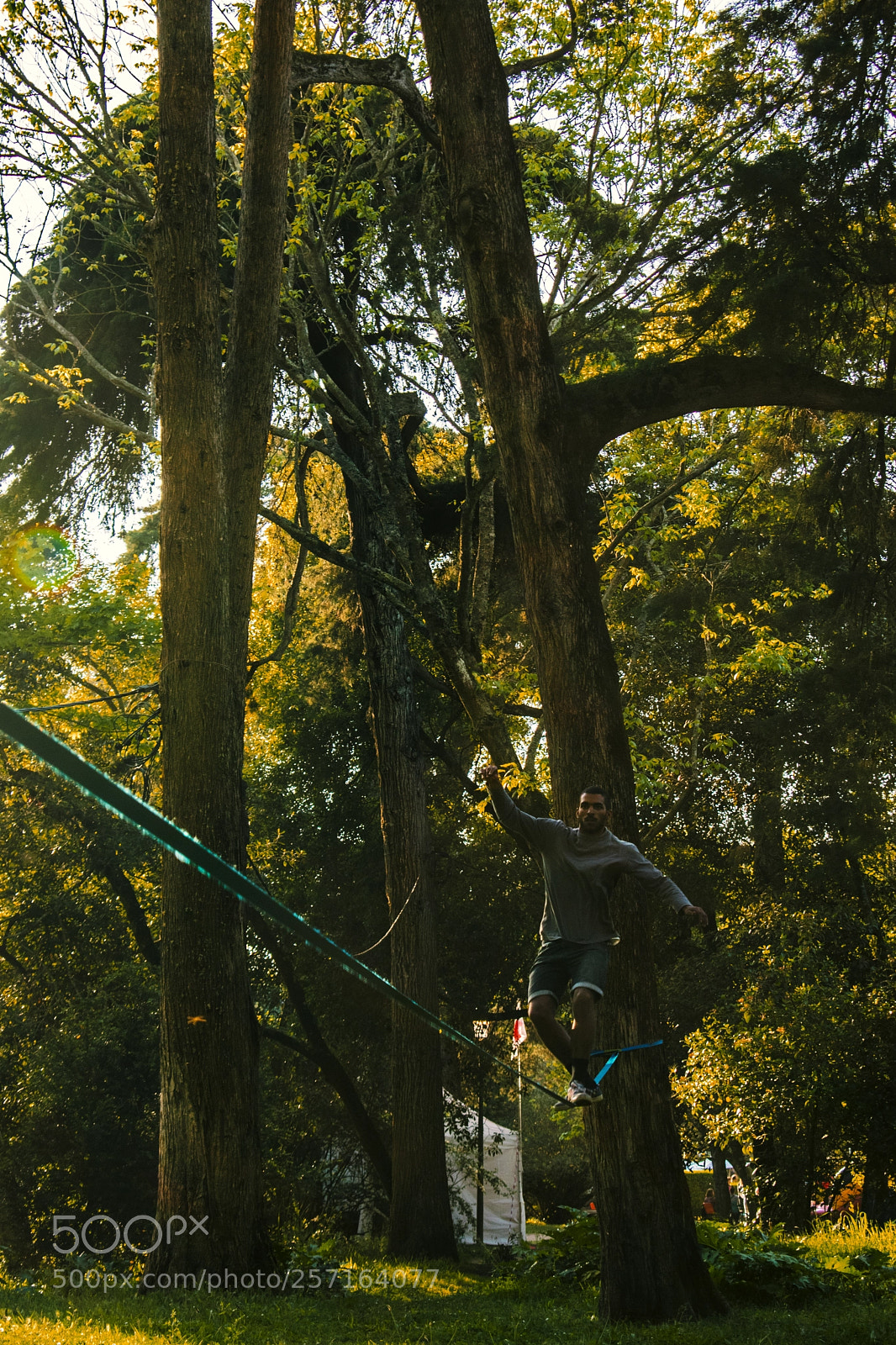 Nikon D3300 sample photo. In the woods photography