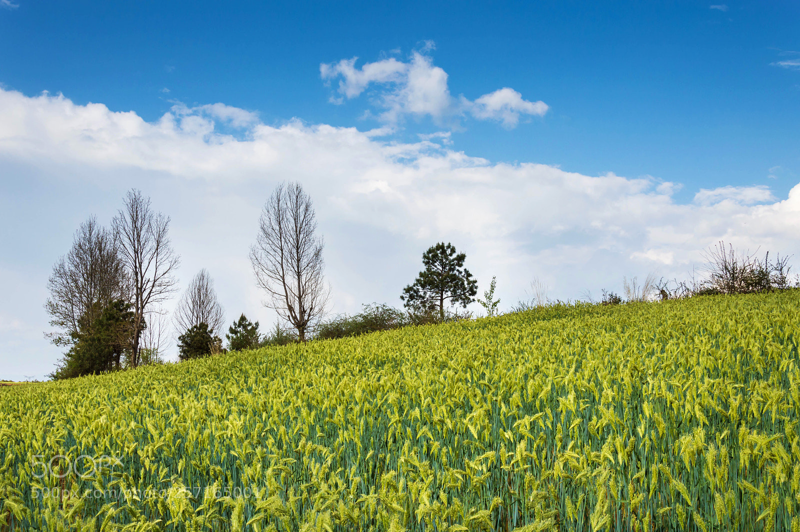 Nikon D3200 sample photo. Untitled photography