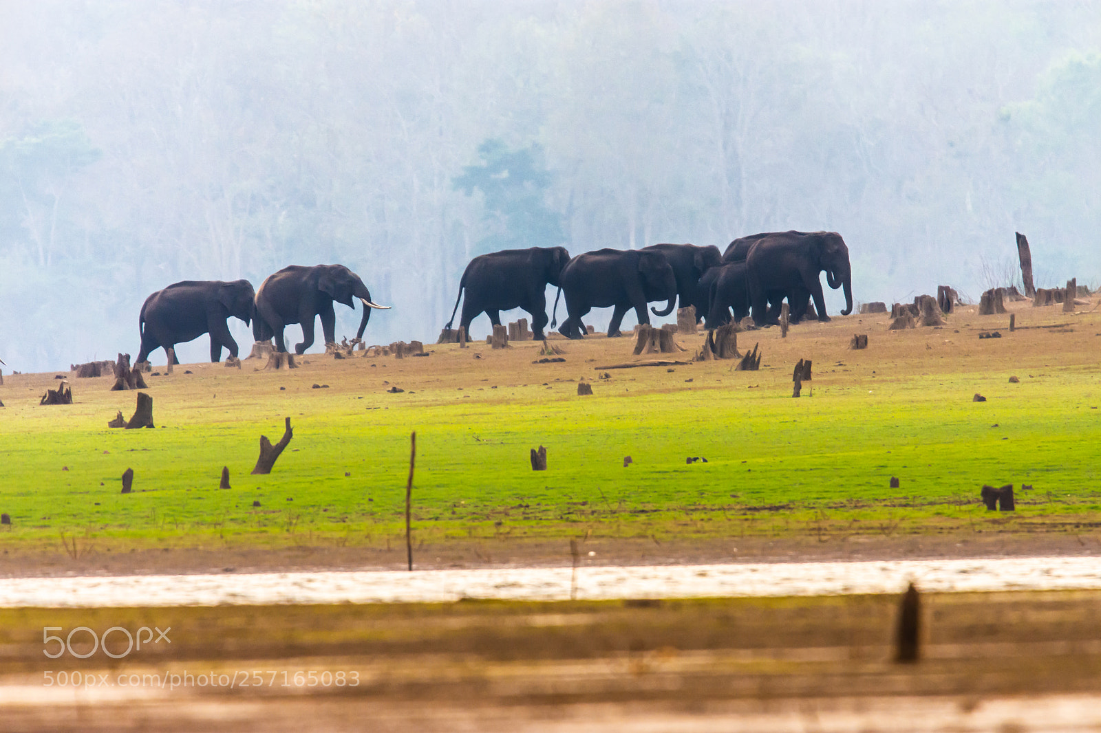Nikon D7200 sample photo. Untitled photography