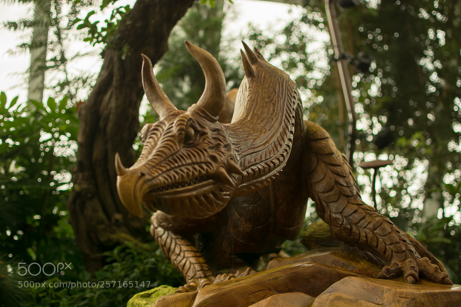 Nikon D5200 sample photo. Wood dragon photography