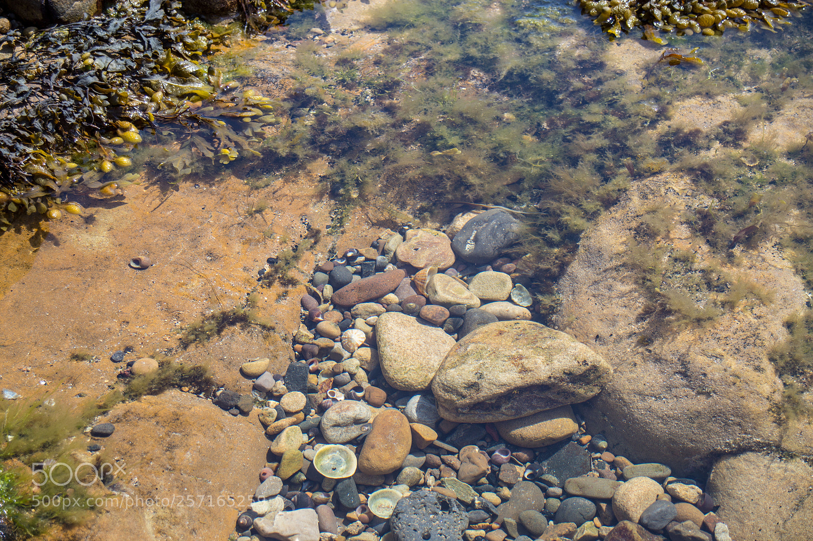Canon EOS 6D sample photo. Rock pool photography
