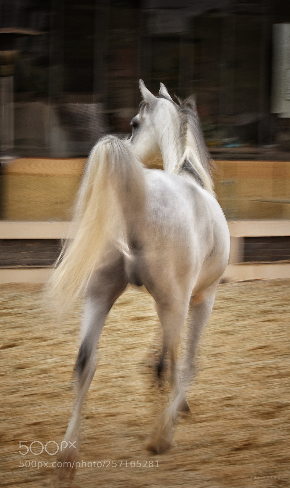 Nikon D810 sample photo. Don't look back .. photography