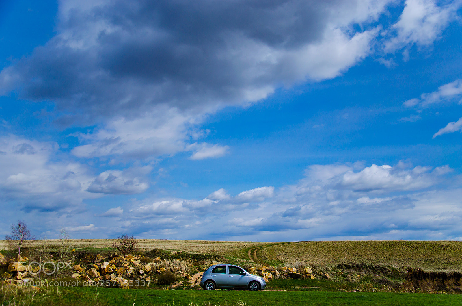 Nikon D5100 sample photo. Nissan photography