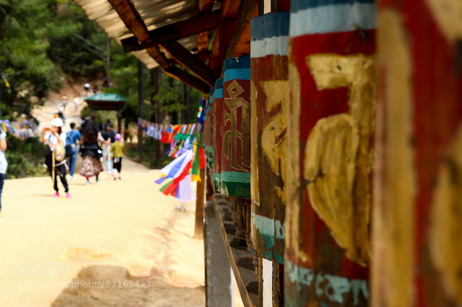 Canon EOS 750D (EOS Rebel T6i / EOS Kiss X8i) sample photo. Img photography