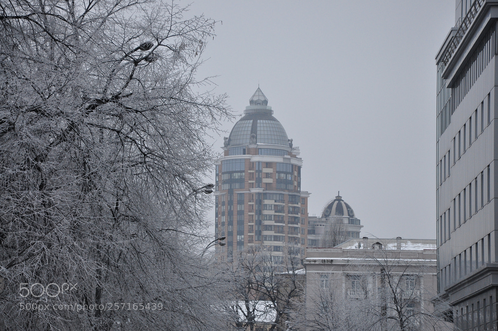 Nikon D90 sample photo. Kyiv photography