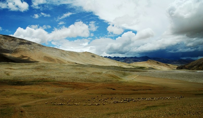Nikon D70 sample photo. Tibetan plateau photography