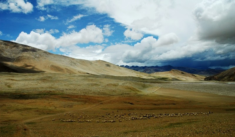 Nikon AF-S DX Nikkor 18-70mm F3.5-4.5G ED-IF sample photo. Tibetan plateau photography