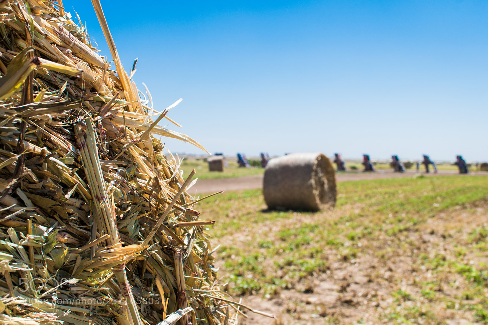 Nikon D5300 sample photo. Bales photography