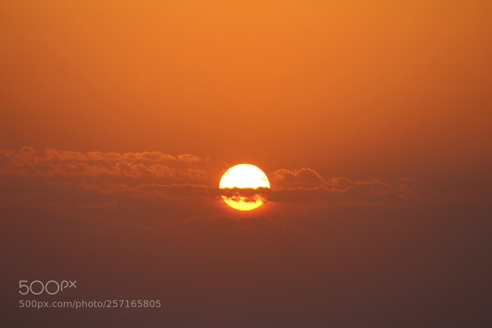 Canon EF-S 55-250mm F4-5.6 IS II sample photo. Untitled photography