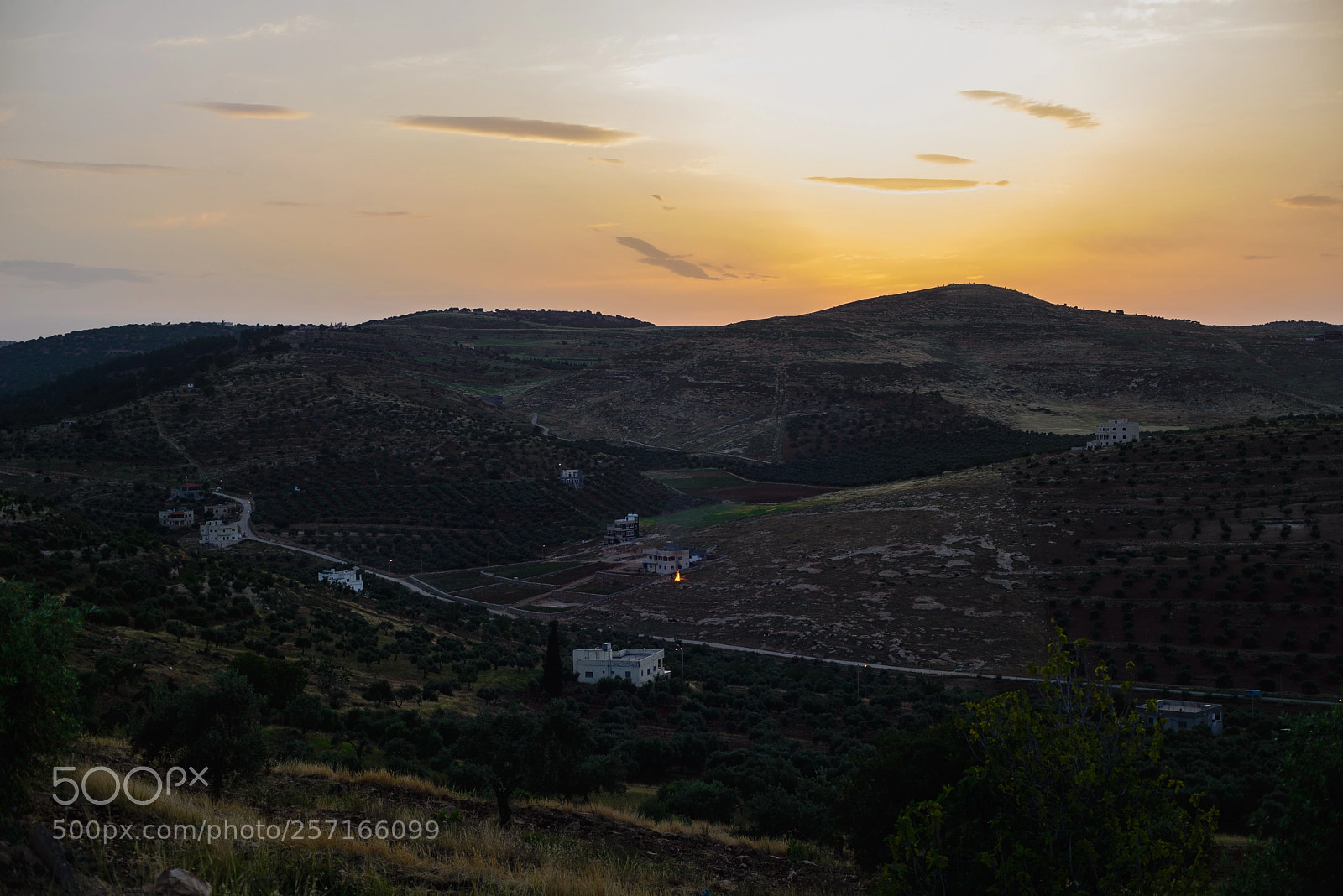 Nikon D610 sample photo. Irbid sunset / jordan photography