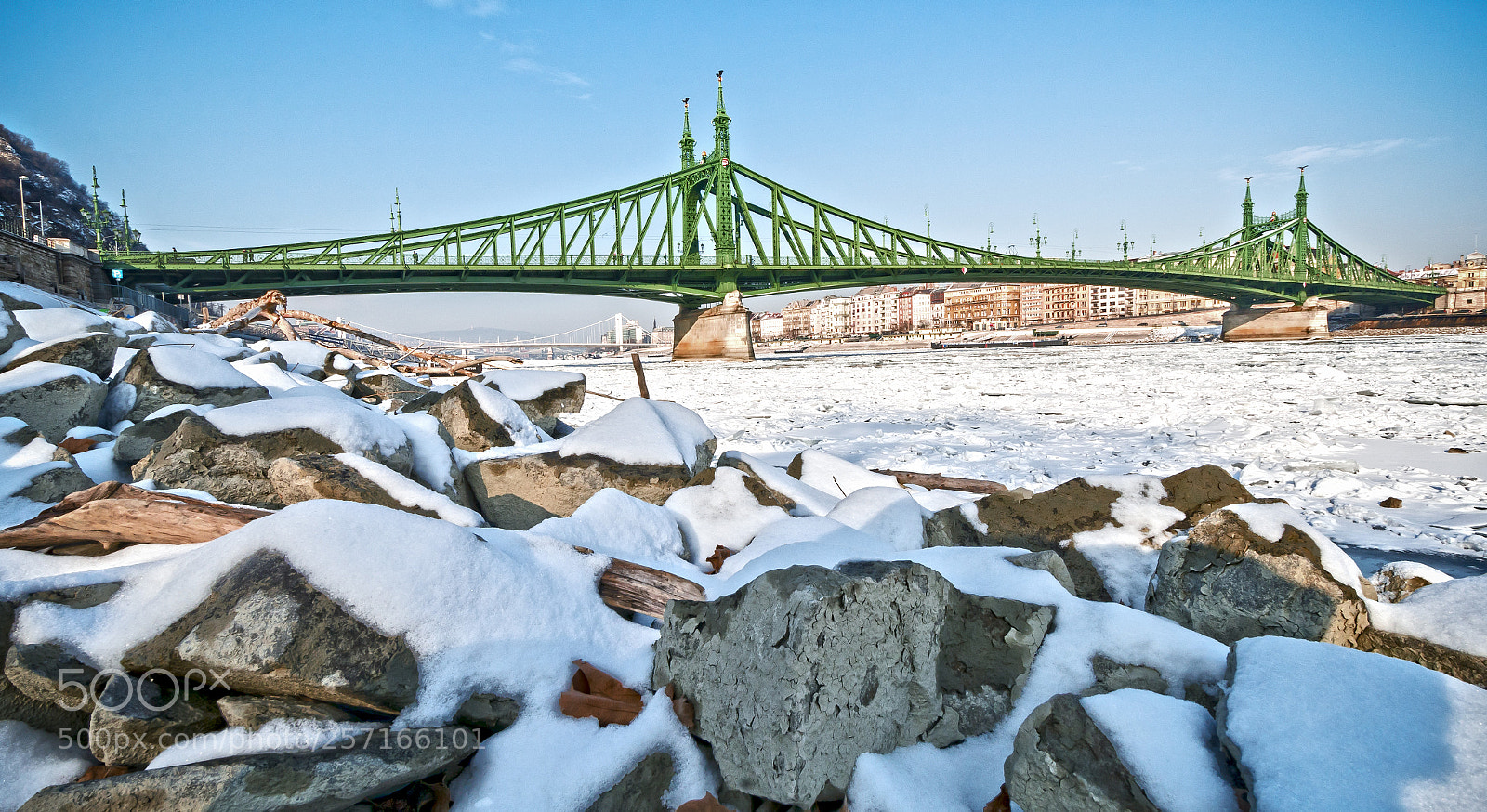 Nikon D7100 sample photo. Liberty bridge photography