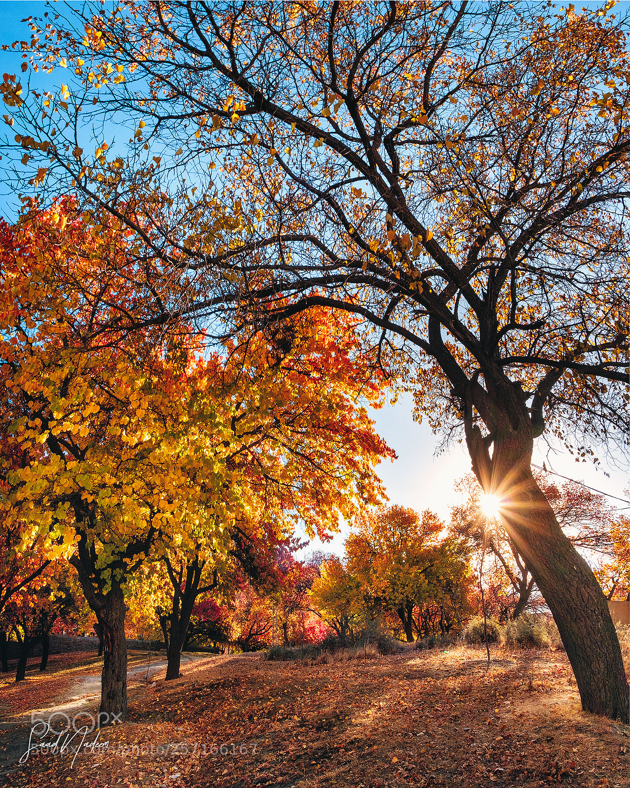 Fujifilm X-T10 sample photo. Mesmerizing beauty of autumn photography
