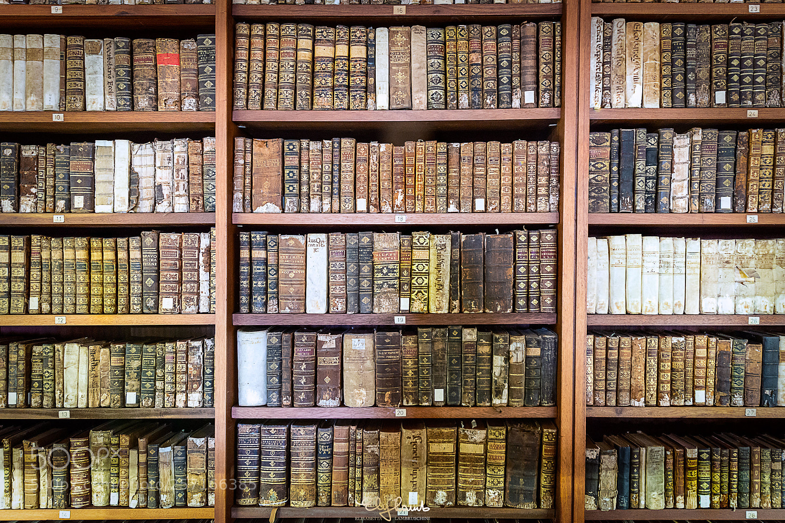 Nikon D800 sample photo. Old library photography