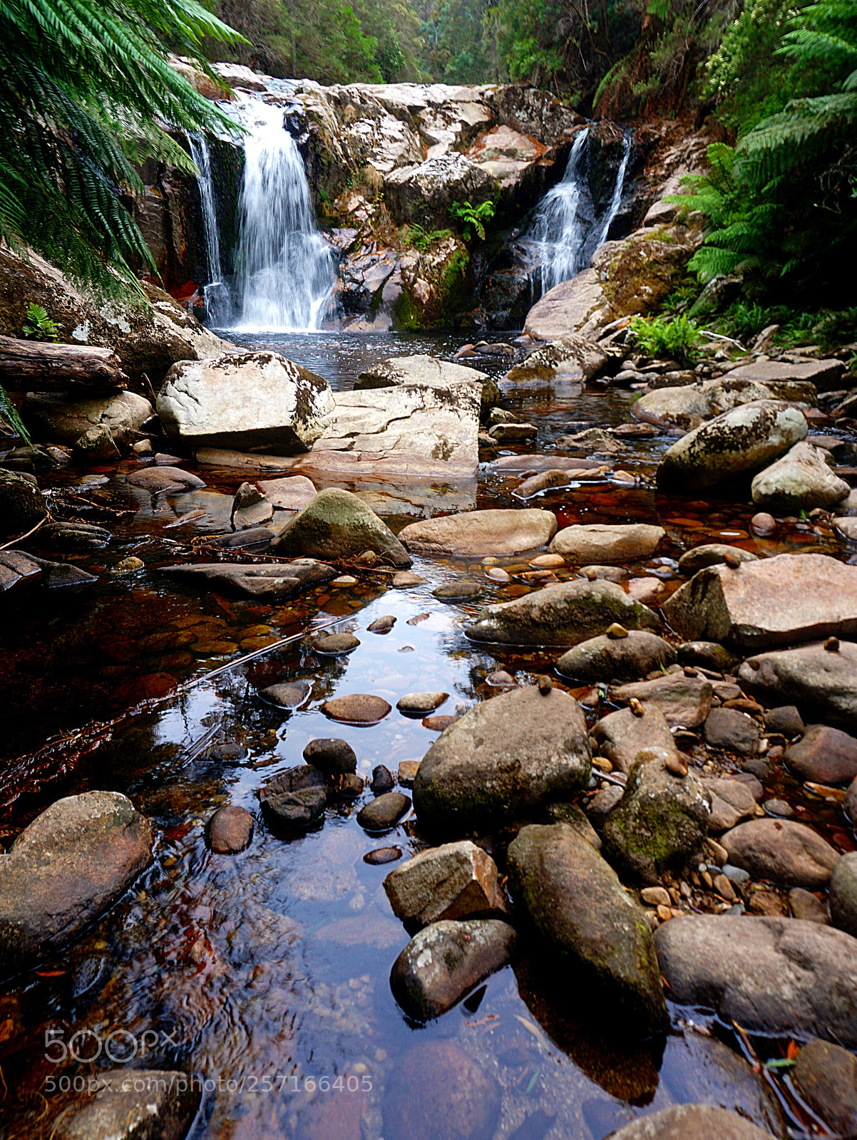 Sony a6000 sample photo. The fall who was photography