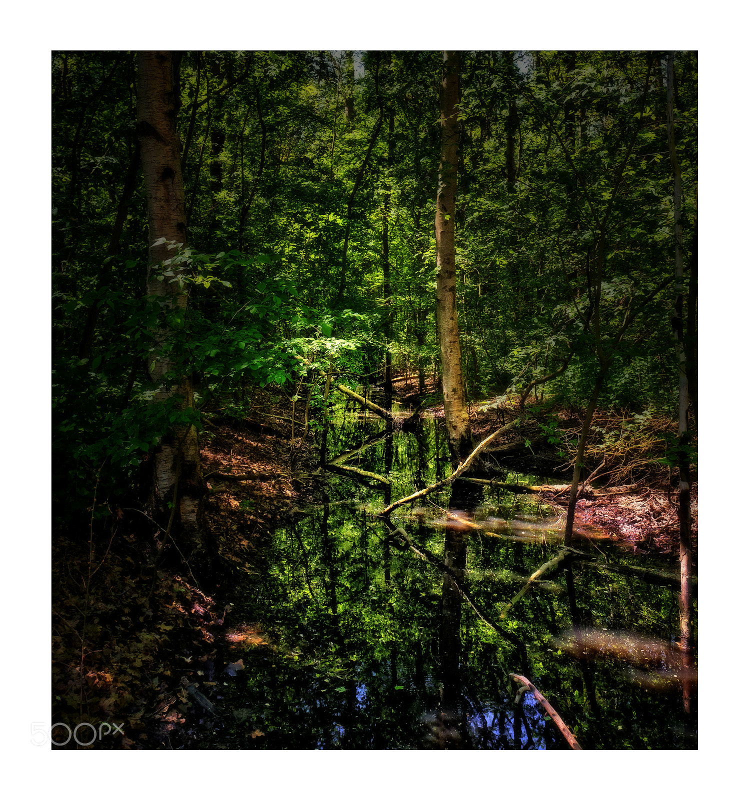 Canon EOS 6D sample photo. Krekengebied ouwerkerk photography