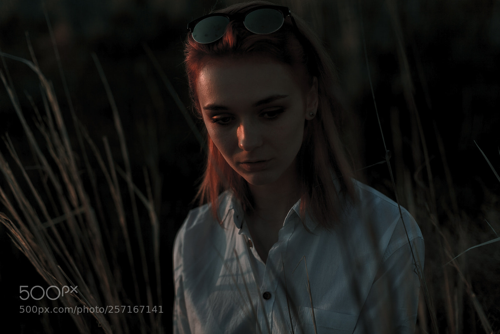 Canon EOS 5D Mark II sample photo. Img photography