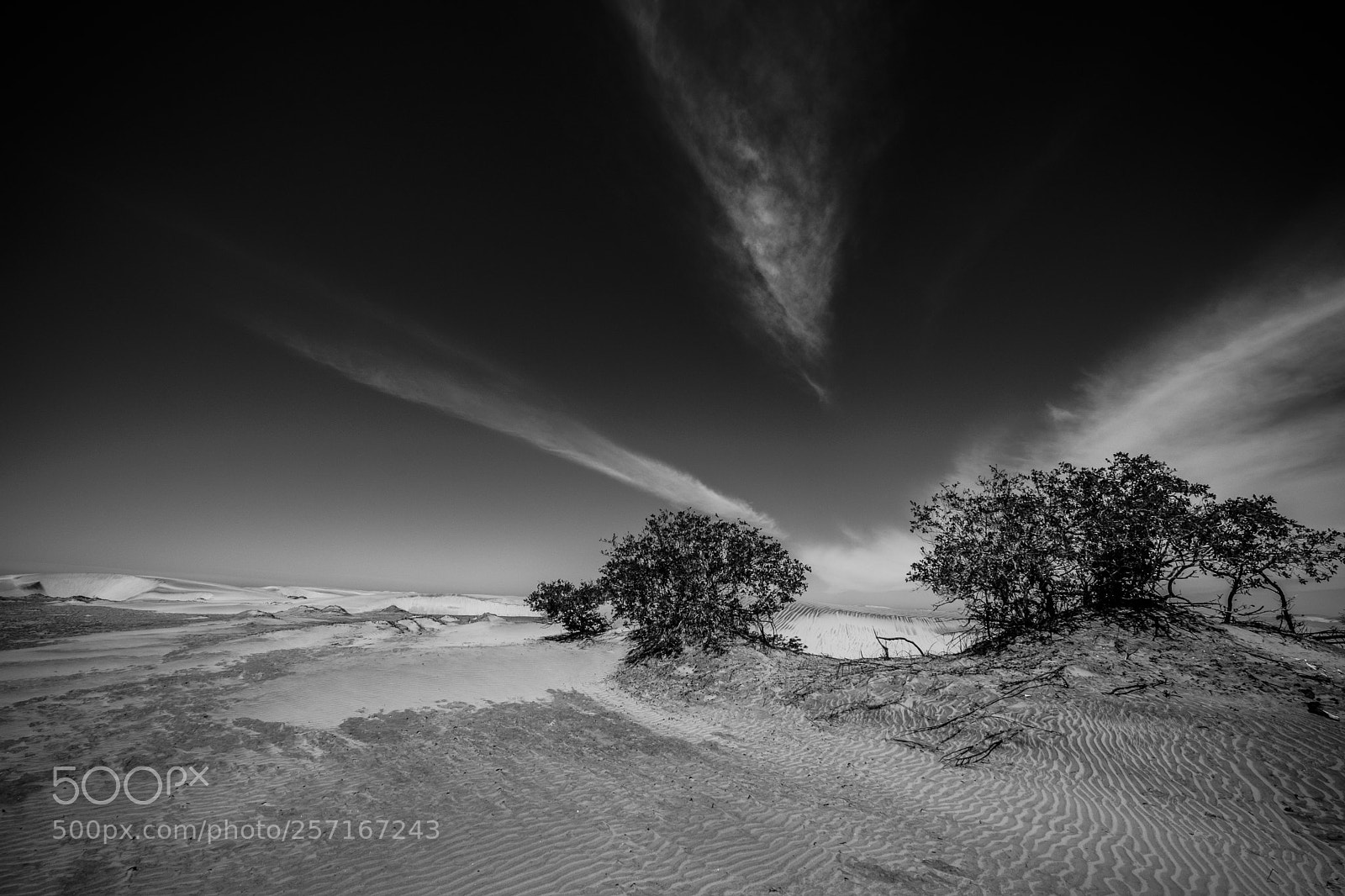 Fujifilm X-T2 sample photo. Desert landscape in mexico photography