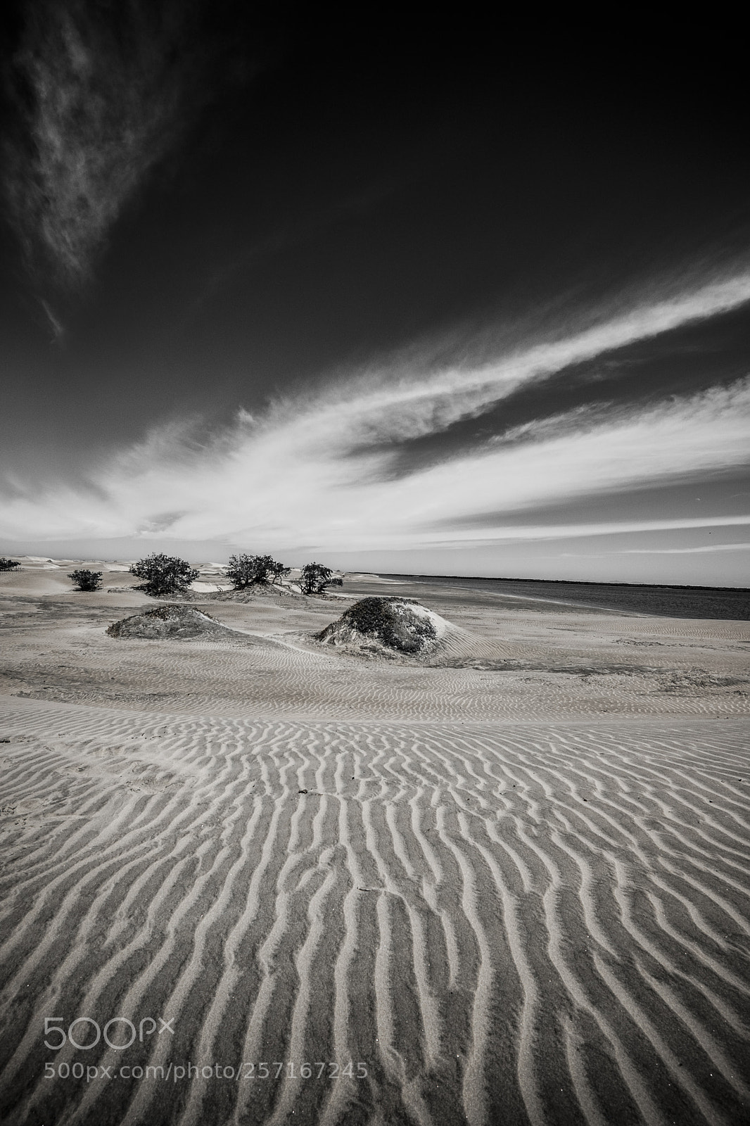 Fujifilm X-T2 sample photo. Desert landscape in mexico photography