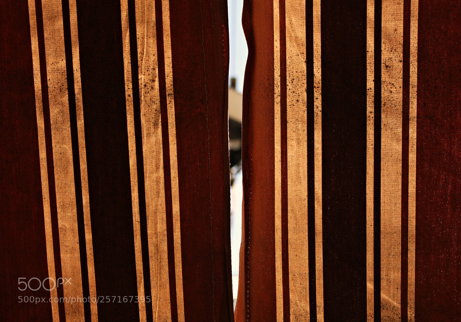 Canon EOS 700D (EOS Rebel T5i / EOS Kiss X7i) sample photo. Read between the lines photography