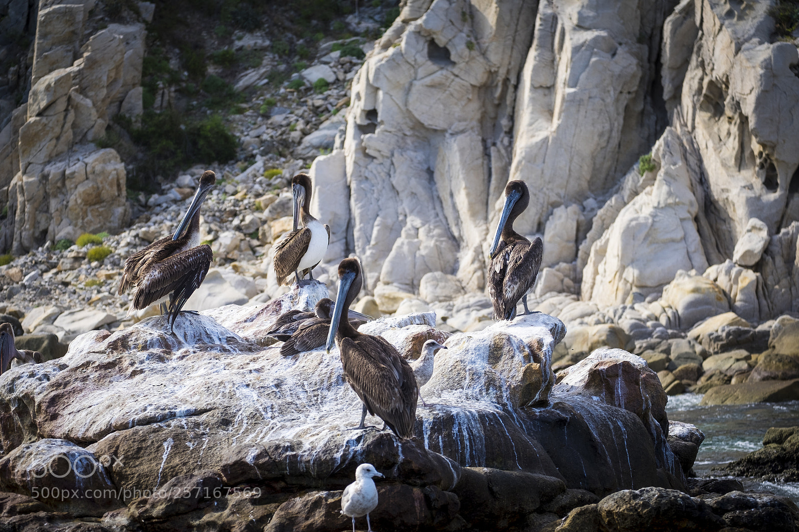 Fujifilm X-T10 sample photo. Coastline in baja california photography