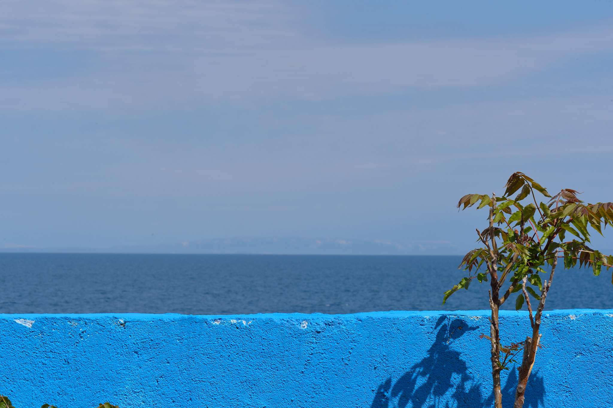 Nikon AF-S Micro-Nikkor 105mm F2.8G IF-ED VR sample photo. Blue syphony# photography