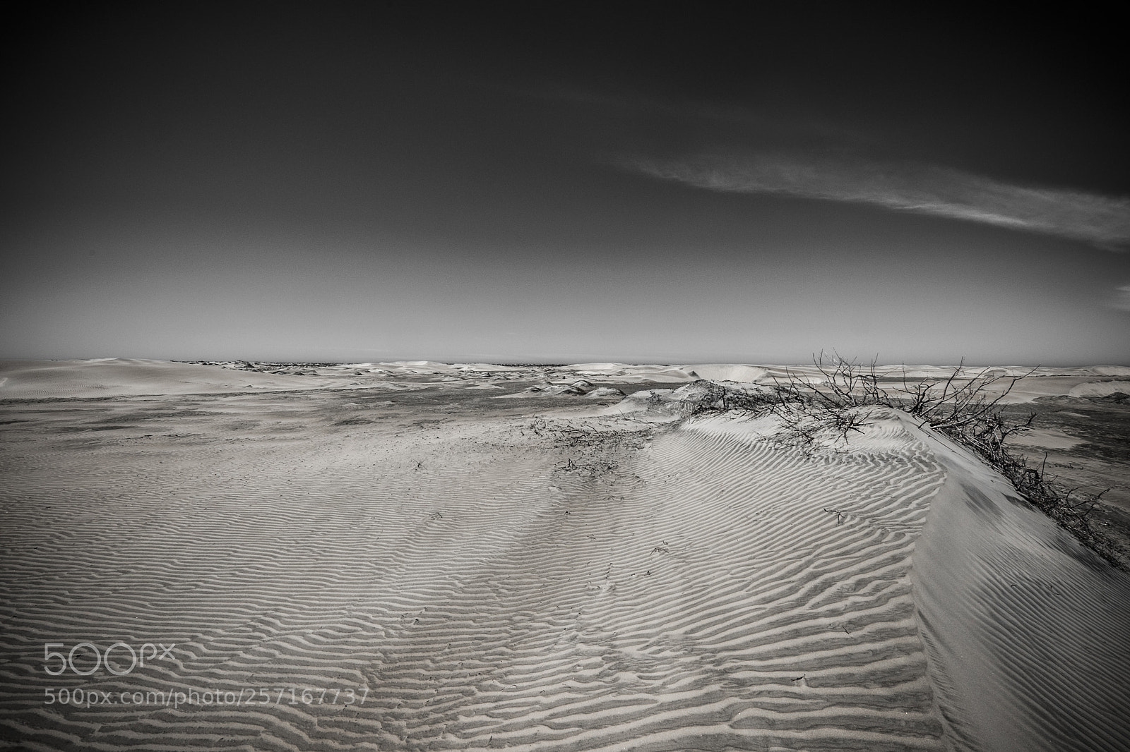 Fujifilm X-T2 sample photo. Desert landscape in mexico photography