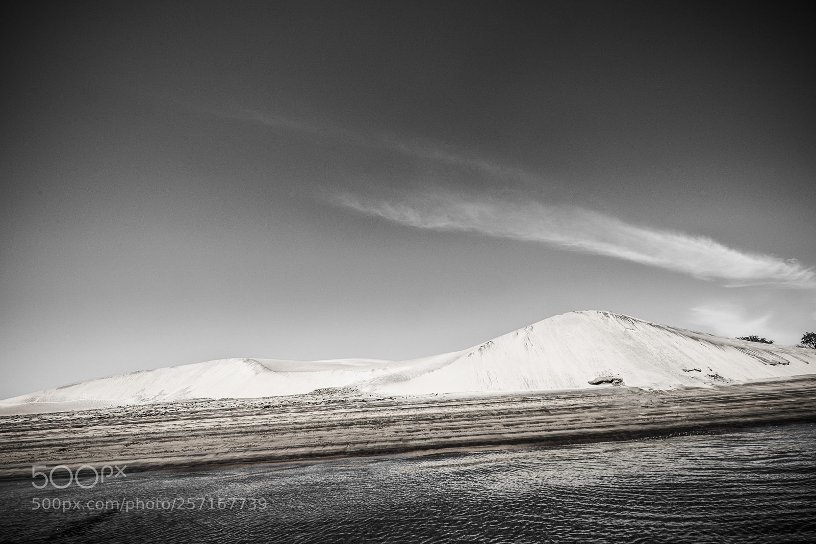 Fujifilm X-T2 sample photo. Desert landscape in mexico photography