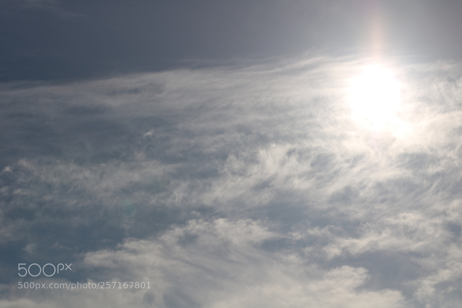 Canon EOS 750D (EOS Rebel T6i / EOS Kiss X8i) sample photo. Untitled photography