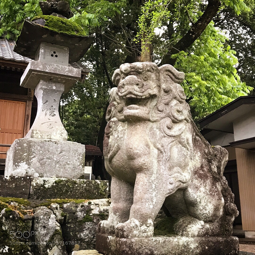 Apple iPhone 7 sample photo. #124 photography