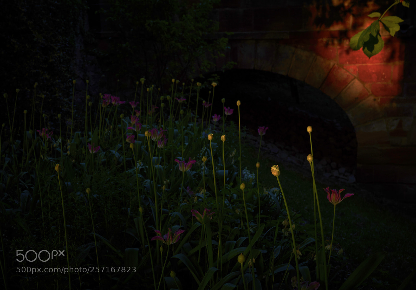 Nikon D750 sample photo. Power photography