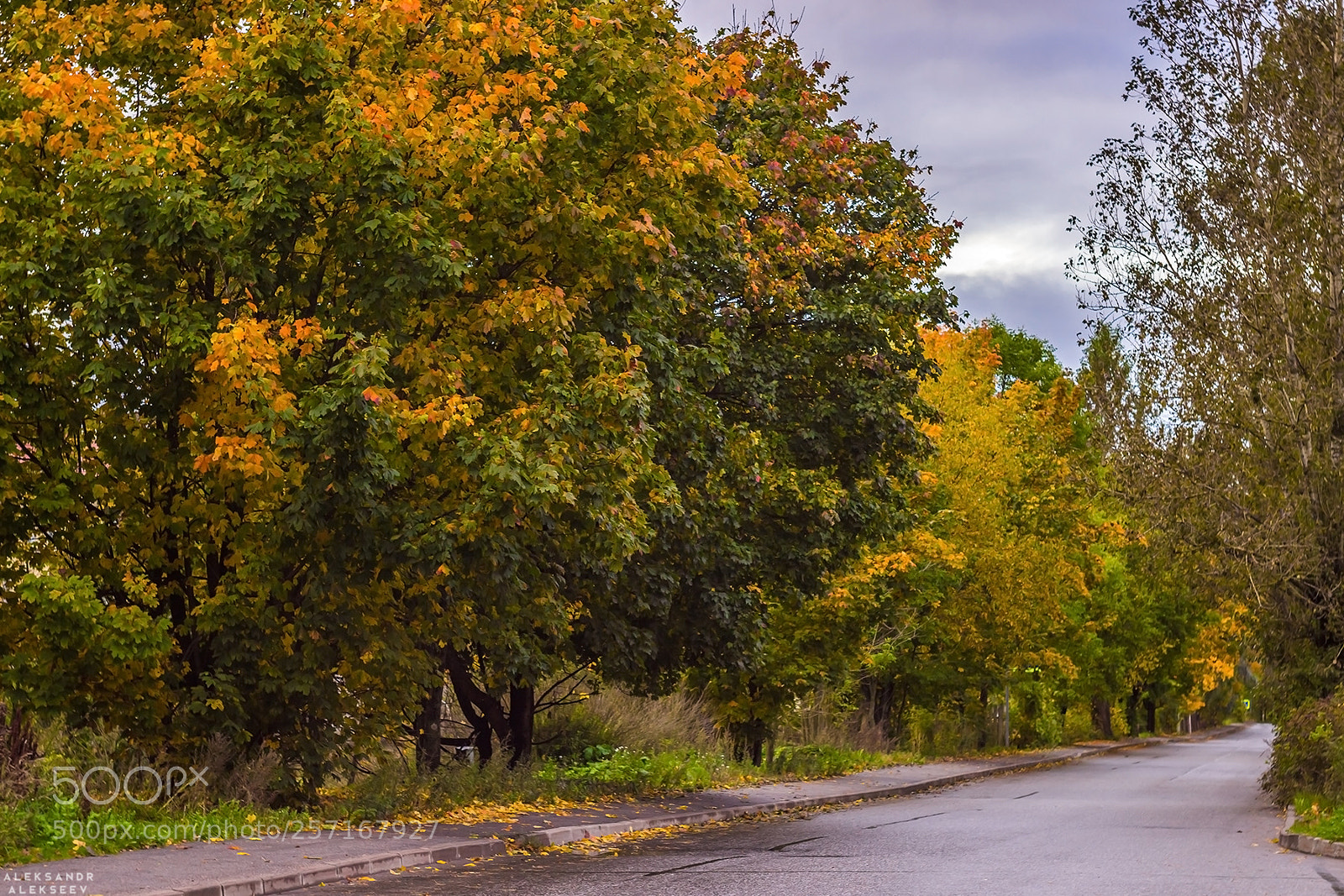 Canon EOS 600D (Rebel EOS T3i / EOS Kiss X5) sample photo. Autumn nature photography