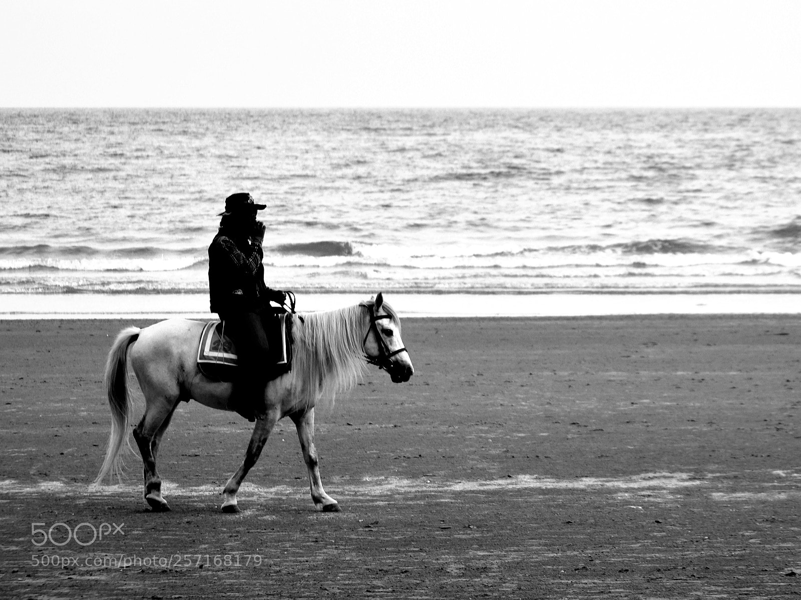 Nikon D5300 sample photo. Untitled photography