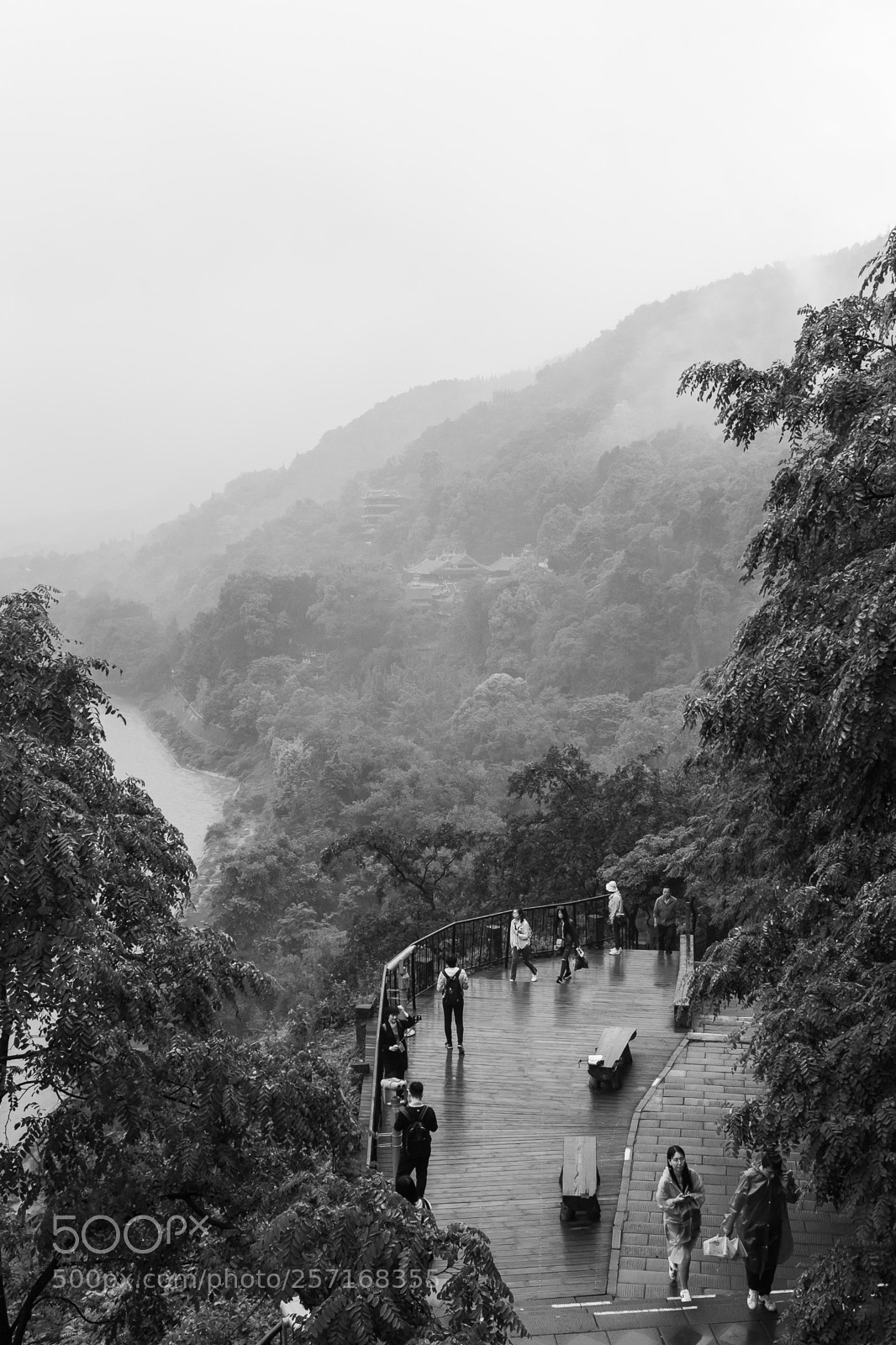 Fujifilm X100T sample photo. 未命名 photography