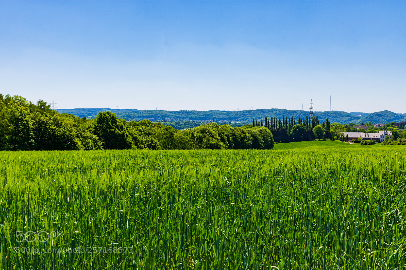 Nikon D7200 sample photo. Behind the city photography