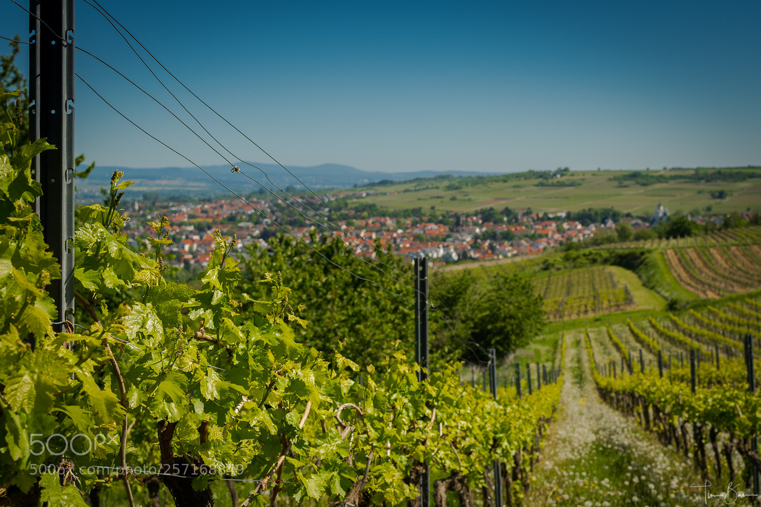 Nikon D7500 sample photo. Vineyard hills photography