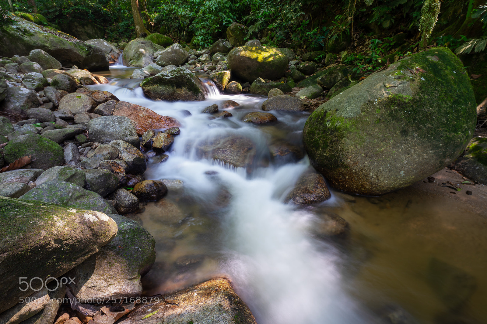 Sony a7 sample photo. ... photography