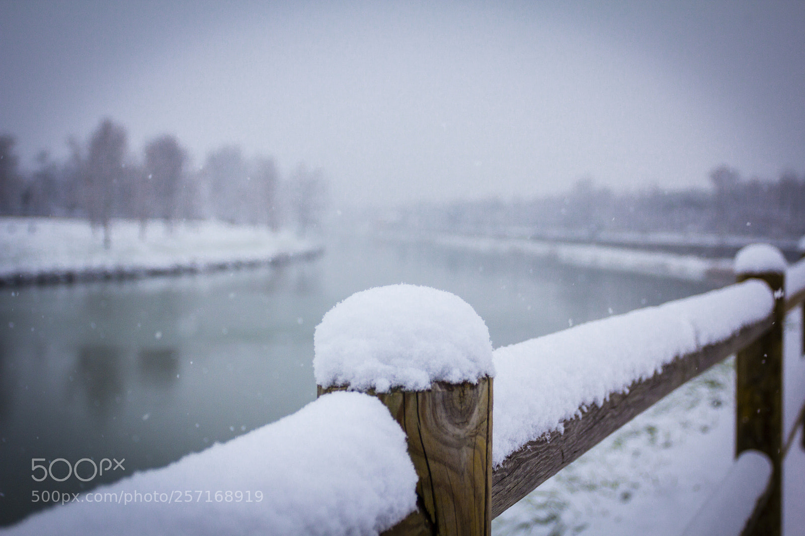 Canon EOS 60D sample photo. La neve photography