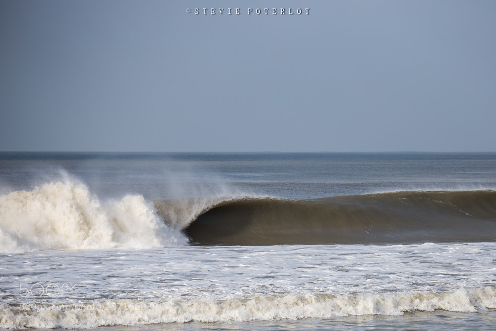 Canon EOS 6D sample photo. B a r r photography