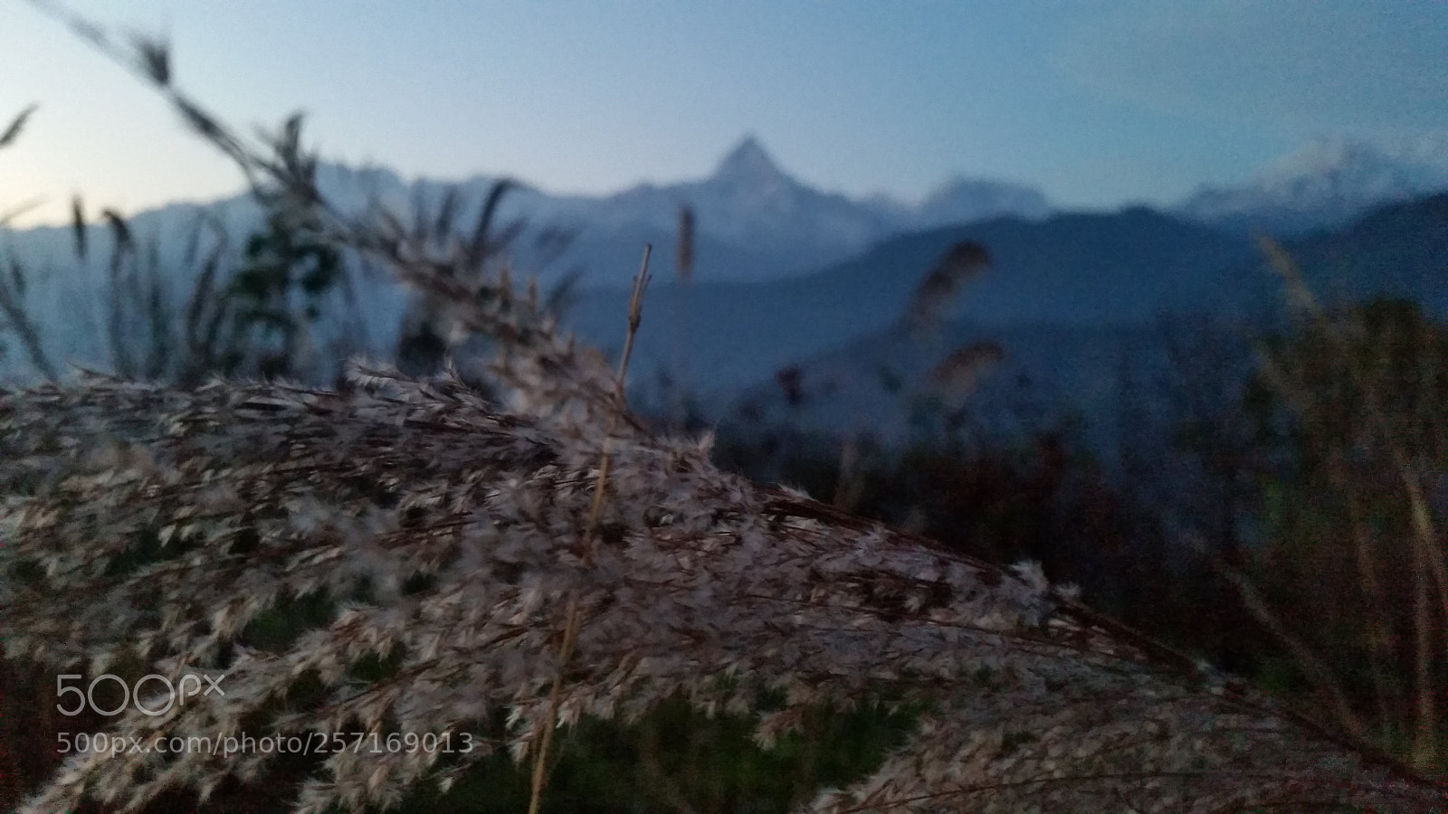Samsung Galaxy S5 sample photo. Untitled photography