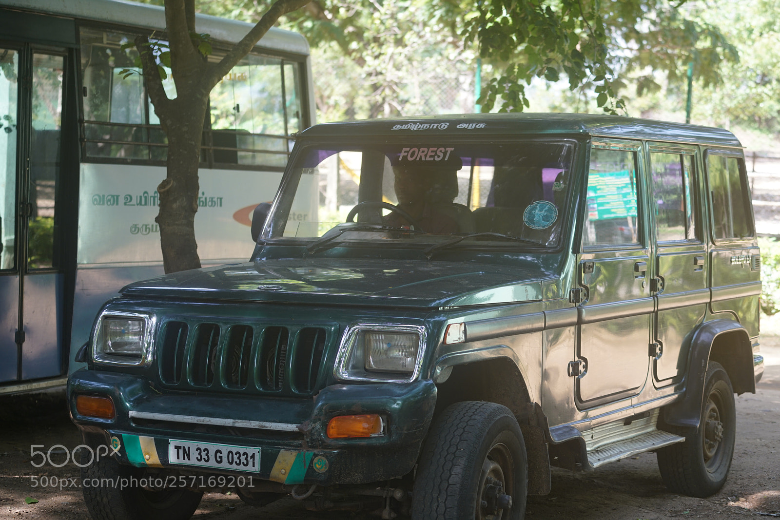 Sony a7R II sample photo. Kumbapatti zoo salem india () photography