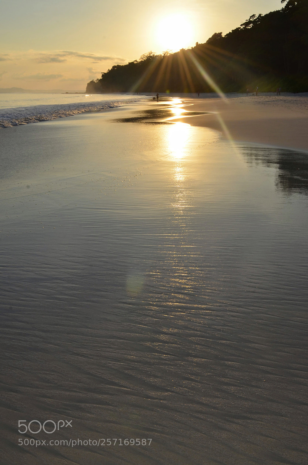 Nikon D7000 sample photo. Nature's design... photography