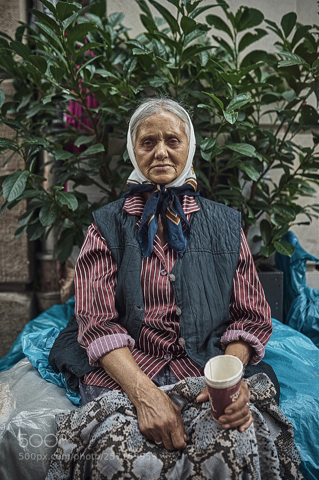 Nikon D750 sample photo. A woman photography