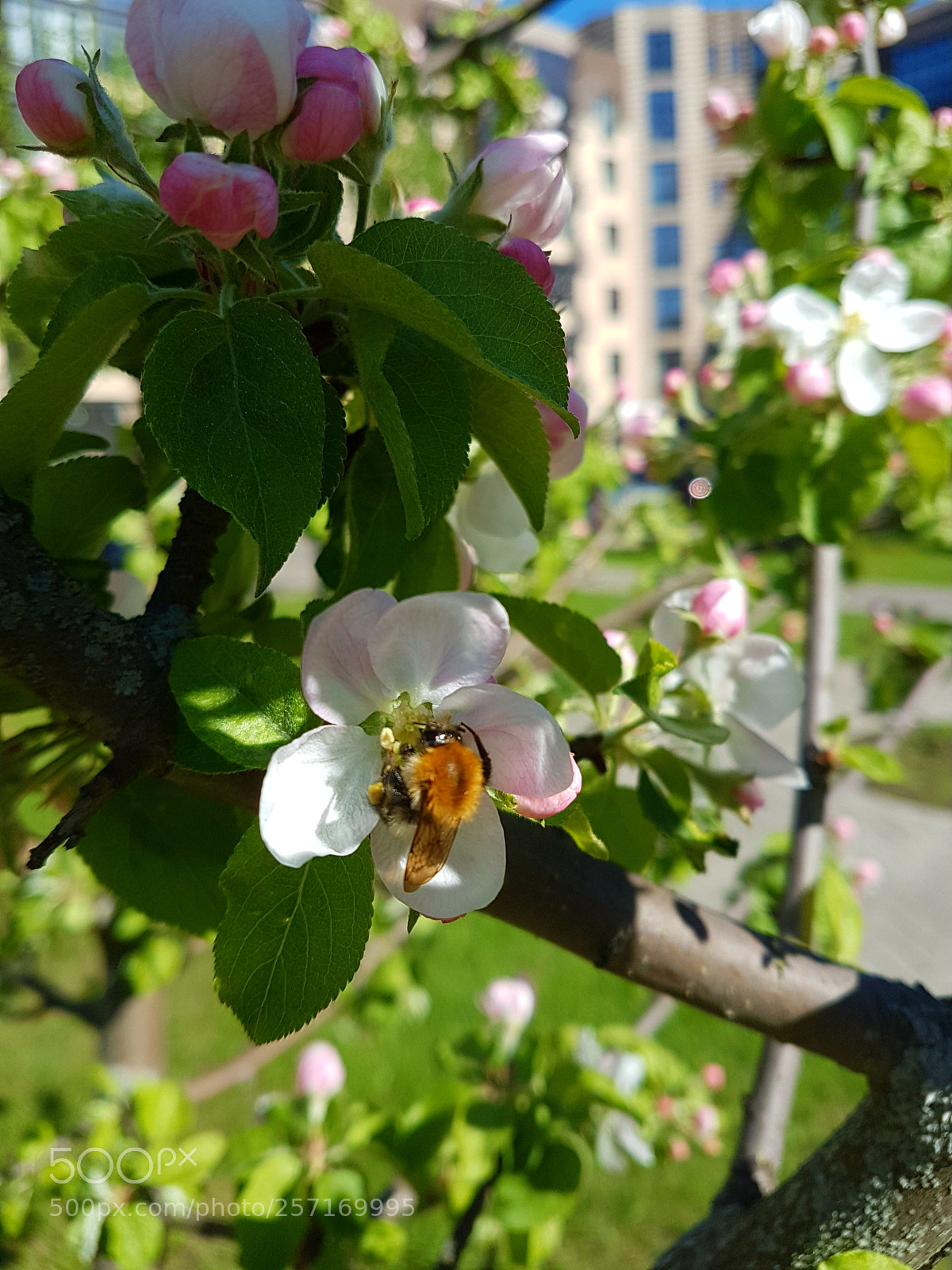 Samsung Galaxy S7 Edge sample photo. Untitled photography